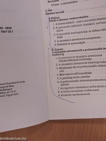 A professzionális intézményrendszerek elmélete