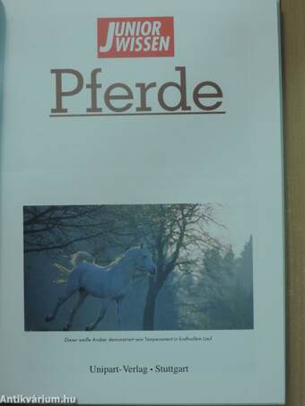 Pferde