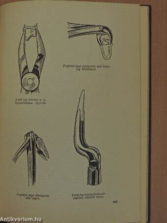 Orvos a családban IV.