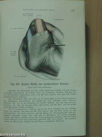 Atlas der deskriptiven anatomie des menschen II.