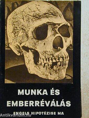 Bencze György: Munka és emberréválás (Kossuth Könyvkiadó, 1972) -  antikvarium.hu