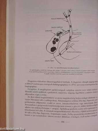 Klinikai ismeretek a belgyógyászat köréből ápolónők részére