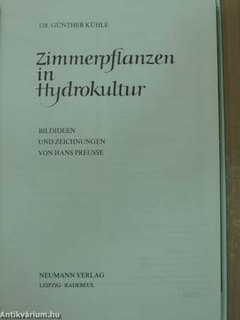 Zimmerpflanzen in Hydrokultur