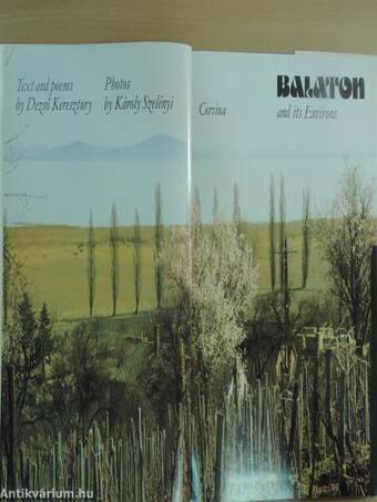 Balaton and its Environs