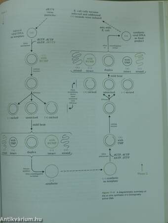 Modern Concepts in Biochemistry