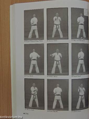 Kyokushin karate III.