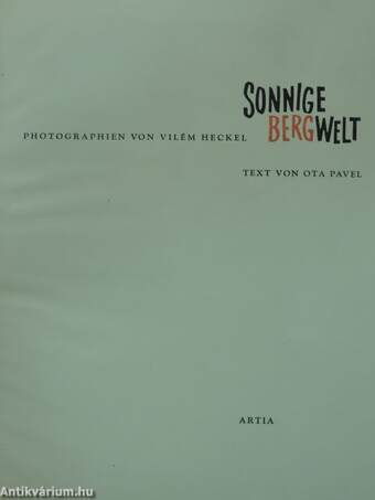 Sonnige Bergwelt