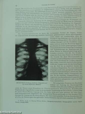 Einführung in die Pathologische Physiologie