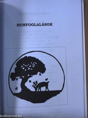 Honfoglalások