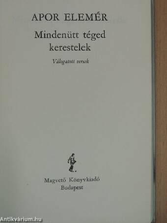 Mindenütt téged kerestelek