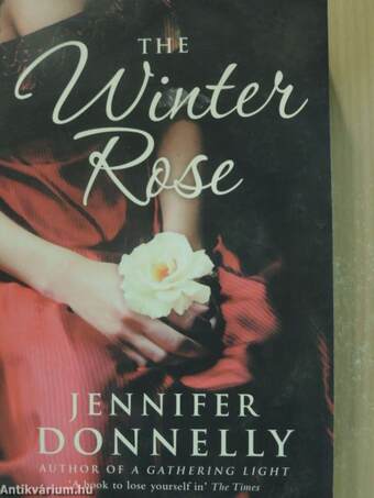 The Winter Rose