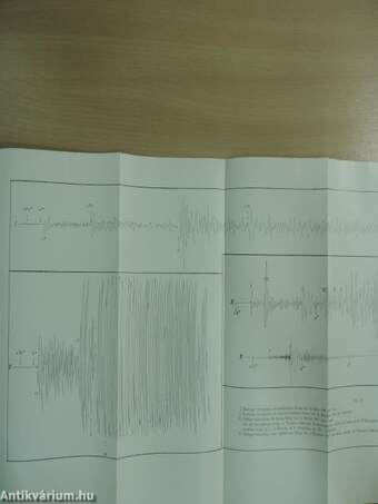 Lehrbuch der Allgemeinen Geologie II.