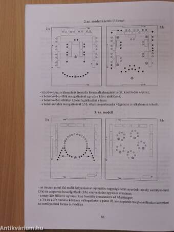 A tanulási folyamat differenciálásának elvei és gyakorlata