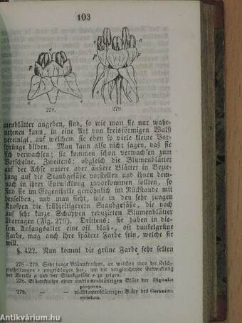 Populäre Naturgeschichte der drei Reiche XI/1-2. (gótbetűs)