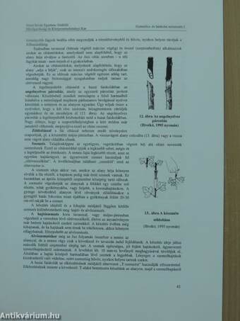 Gyümölcs- és faiskola termesztés I.