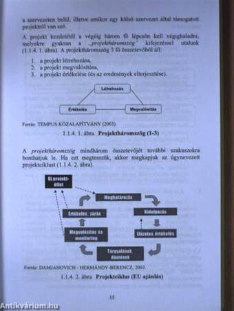 A projektmenedzsment elmélete és gyakorlata