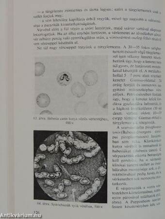 Állatorvosi klinikai laboratóriumi vizsgálatok