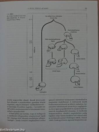 Evolúciós pszichológia