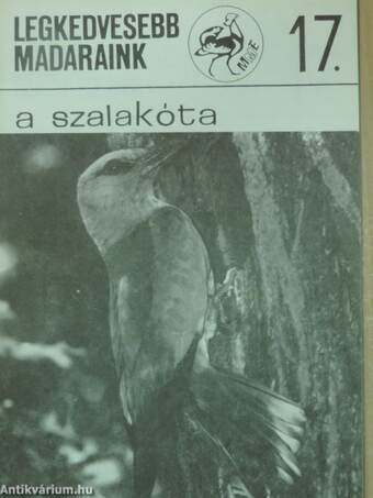 A szalakóta