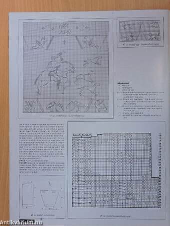 Pulli International 1991. ősz