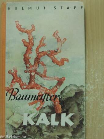 Baumeister Kalk