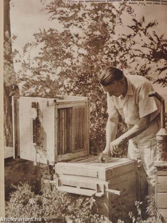Méhészet 1959-1960. január-december
