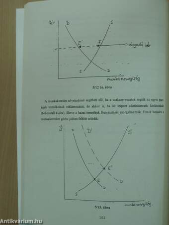 Közgazdaságtan