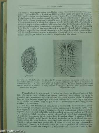 Természettudományi Közlöny 1934. január-december/Pótfüzetek a Természettudományi Közlönyhöz 1934. január-december