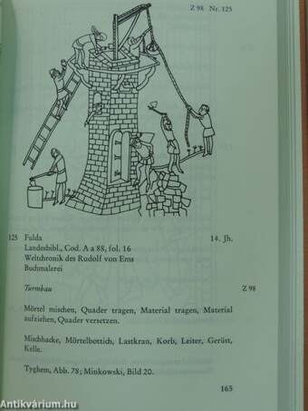 Der mittelalterlicher Baubetrieb nördlich der Alpen in zeitgenössischen Darstellungen