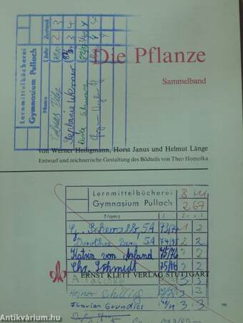 Die Pflanze