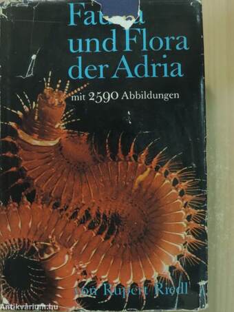 Fauna und Flora der Adria