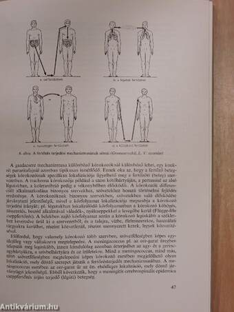 Közegészségtani-járványtani gyakorlatok és bemutatások