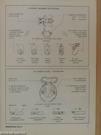 Méhészújság 1991. (nem teljes évfolyam)