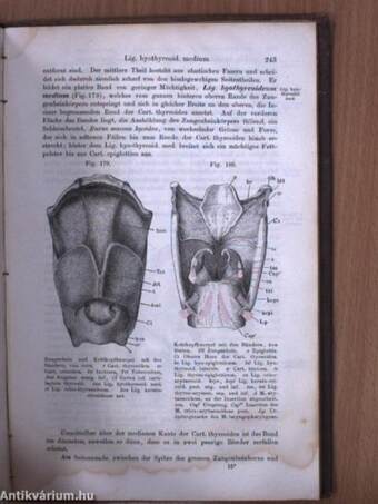 Handbuch der Eingeweidelehre des Menschen II. (töredék)