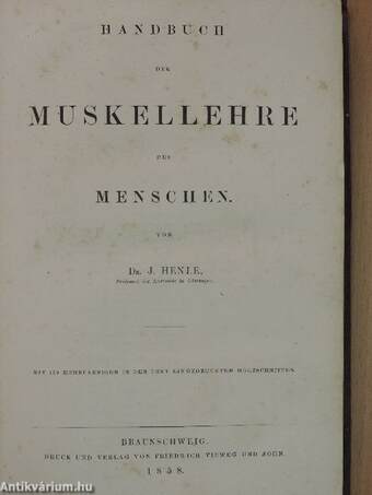 Handbuch der Systematischen Anatomie des Menschen I/3. (töredék)