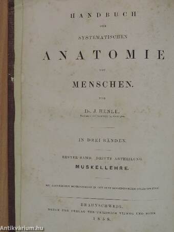 Handbuch der Systematischen Anatomie des Menschen I/3. (töredék)