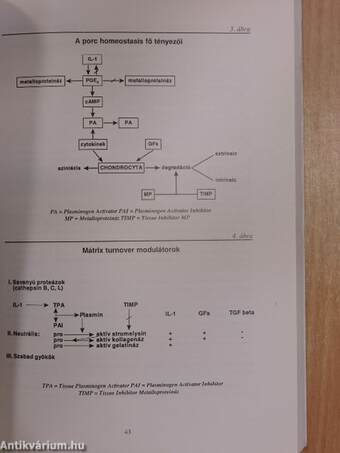 A nem szteroid gyulladásgátlók