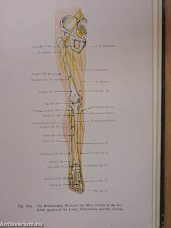 An Outline of Chinese Acupuncture