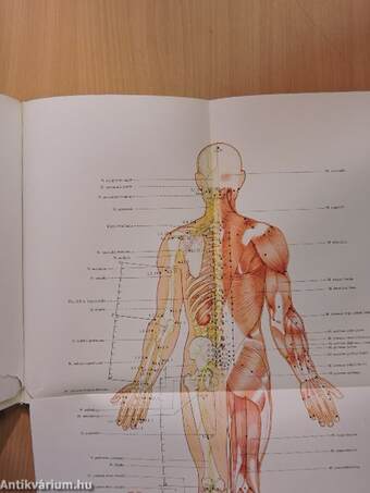 An Outline of Chinese Acupuncture