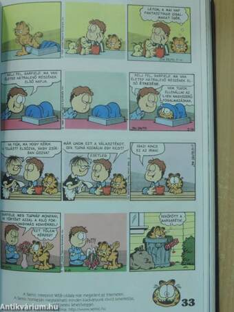 Garfield 1999. január-december