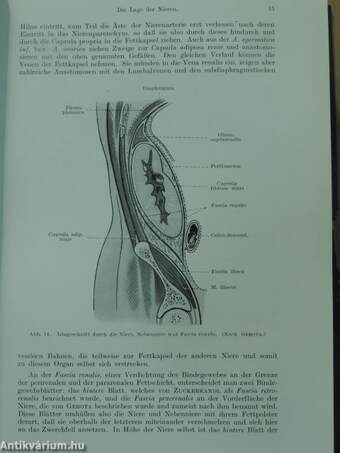 Allgemeine Urologie I-II.