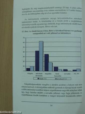 Gyermek-, művelődési és ifjúsági házak 2001