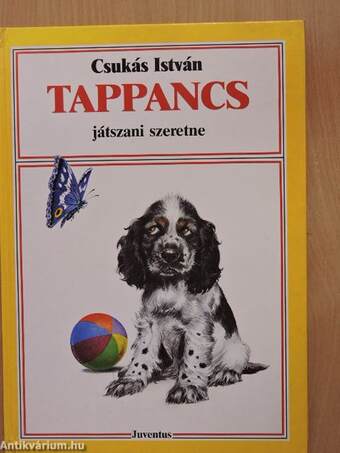 Tappancs játszani szeretne