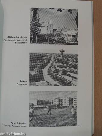 XII. Motoros Műrepülő Világbajnokság 1984