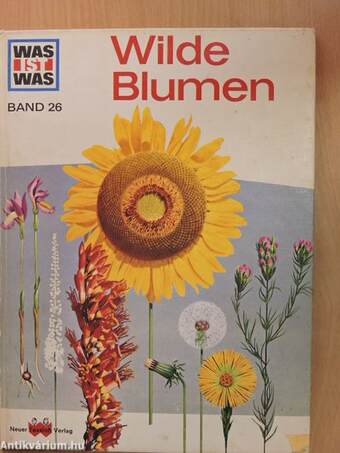 Wilde Blumen