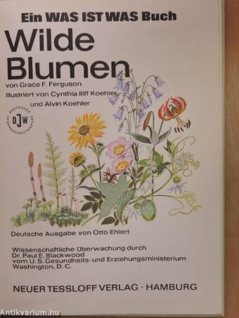 Wilde Blumen