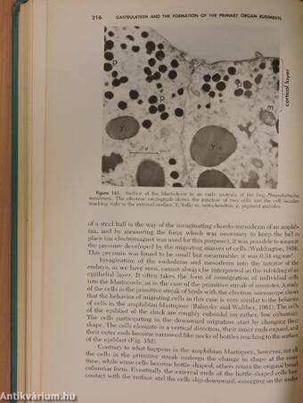 An introduction to embryology