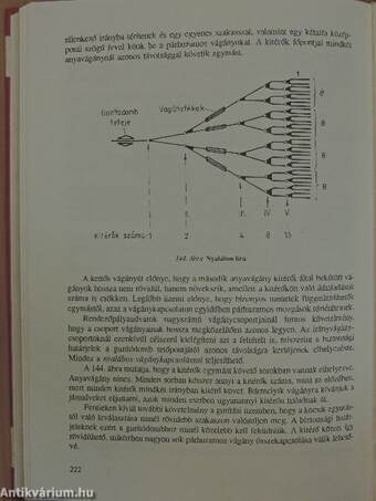 Vasúti üzemtan I/1-2.