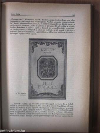 A magyar irodalom története 1905-től napjainkig