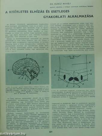 Természettudományi Közlöny 1965. május